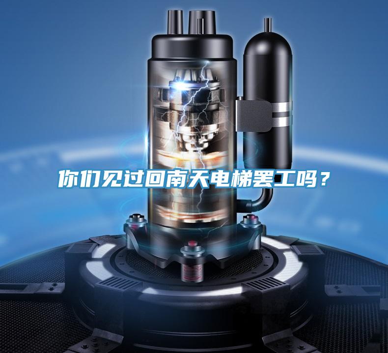 你們見(jiàn)過(guò)回南天電梯罷工嗎？
