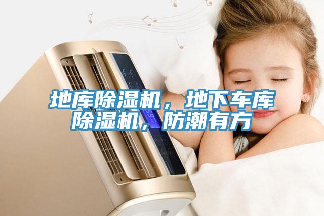 地庫除濕機，地下車庫除濕機，防潮有方