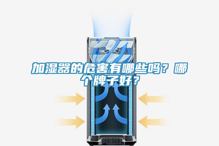 加濕器的危害有哪些嗎？哪個(gè)牌子好？