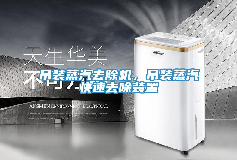 吊裝蒸汽去除機(jī)，吊裝蒸汽快速去除裝置