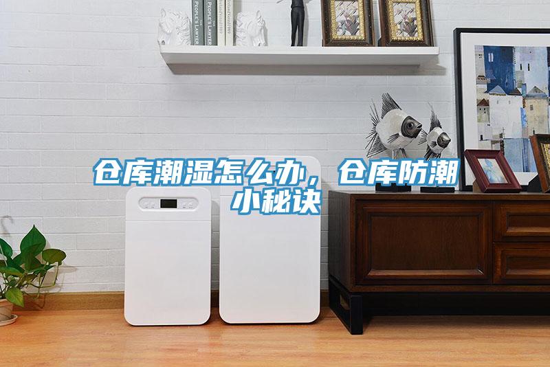 倉(cāng)庫(kù)潮濕怎么辦，倉(cāng)庫(kù)防潮小秘訣