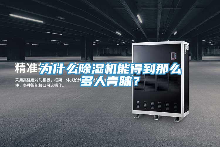 為什么除濕機(jī)能得到那么多人青睞？