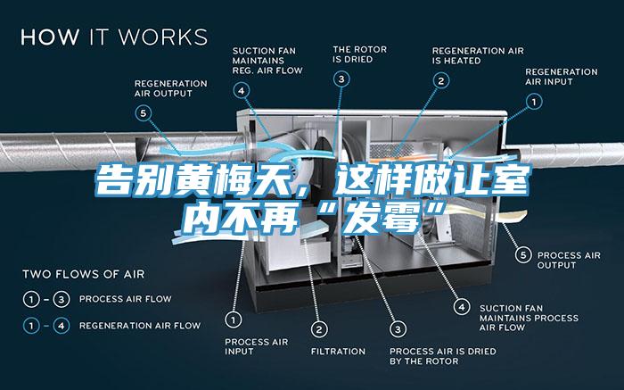 告別黃梅天，這樣做讓室內(nèi)不再“發(fā)霉”