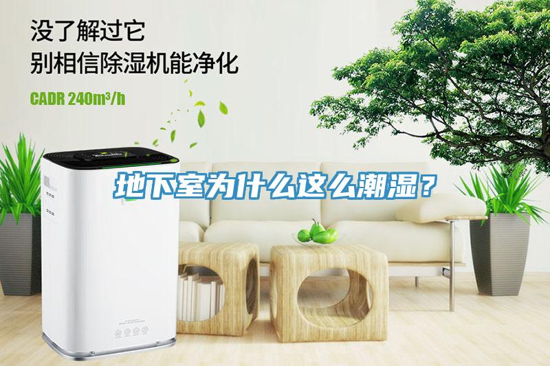 地下室為什么這么潮濕？
