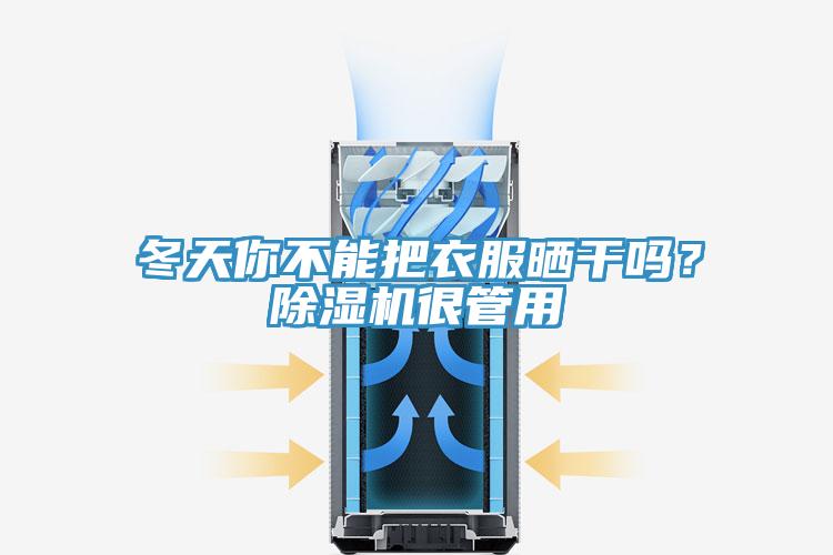 冬天你不能把衣服曬干嗎？除濕機很管用