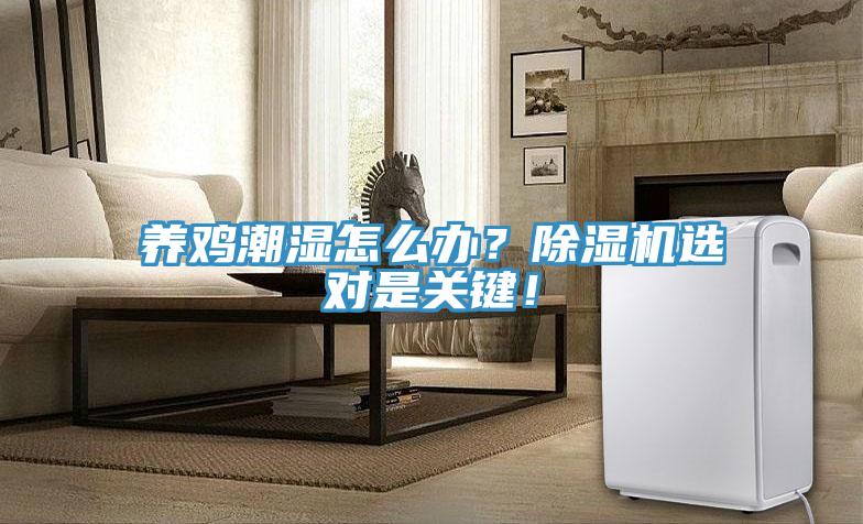 養(yǎng)雞潮濕怎么辦？除濕機(jī)選對是關(guān)鍵！