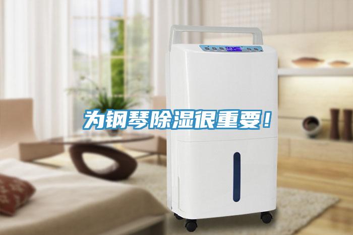 為鋼琴除濕很重要！