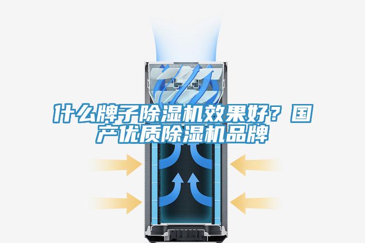 什么牌子除濕機(jī)效果好？國產(chǎn)優(yōu)質(zhì)除濕機(jī)品牌
