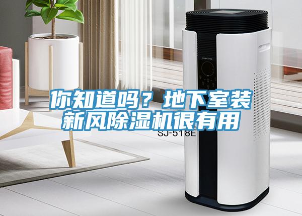 你知道嗎？地下室裝新風(fēng)除濕機很有用