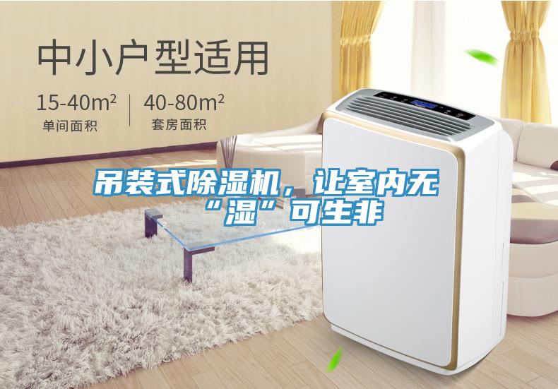 吊裝式除濕機(jī)，讓室內(nèi)無“濕”可生非