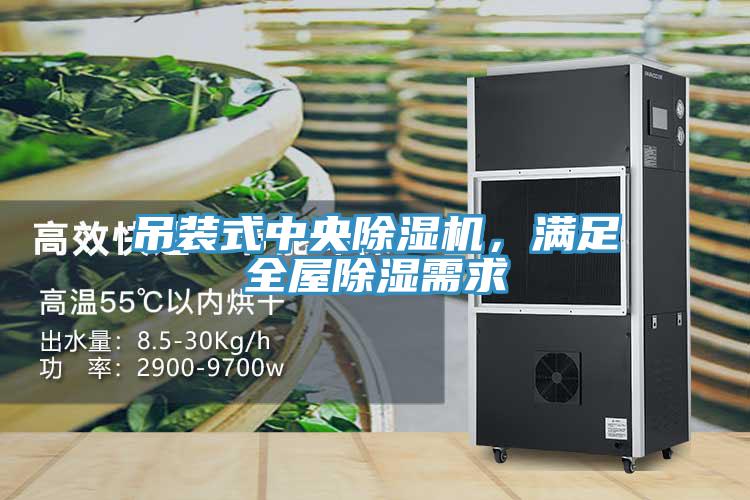 吊裝式中央除濕機(jī)，滿足全屋除濕需求