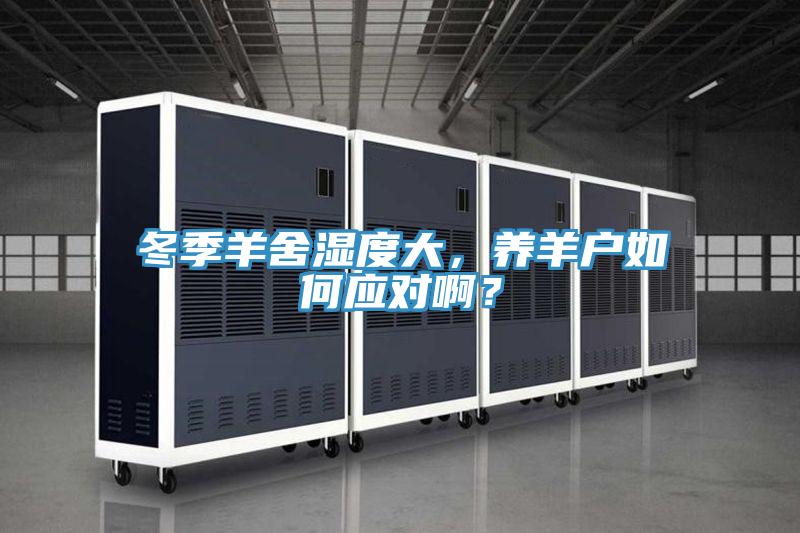 冬季羊舍濕度大，養(yǎng)羊戶如何應(yīng)對??？