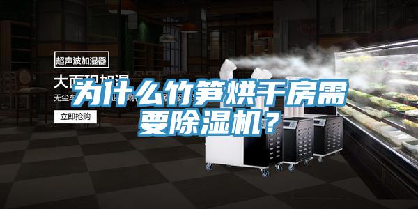 為什么竹筍烘干房需要除濕機？