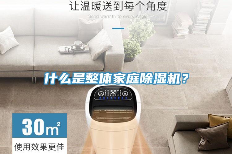 什么是整體家庭除濕機？