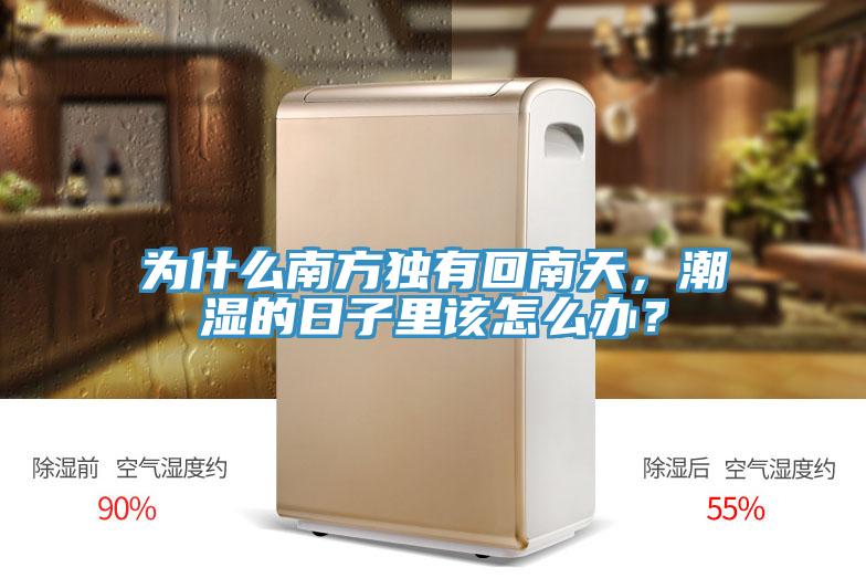 為什么南方獨有回南天，潮濕的日子里該怎么辦？
