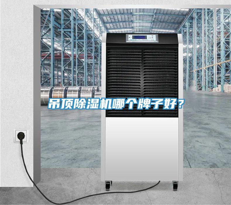 吊頂除濕機哪個牌子好？