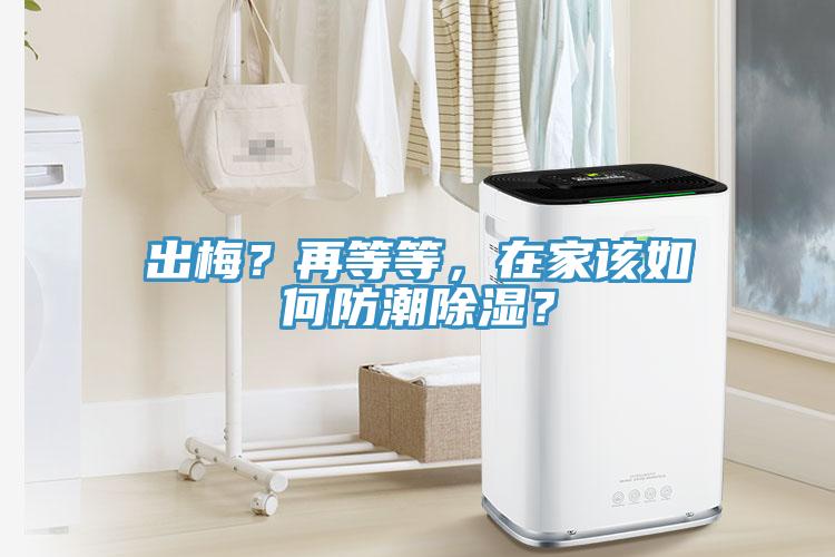 出梅？再等等，在家該如何防潮除濕？