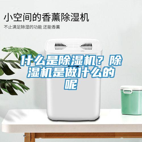 什么是除濕機(jī)？除濕機(jī)是做什么的呢