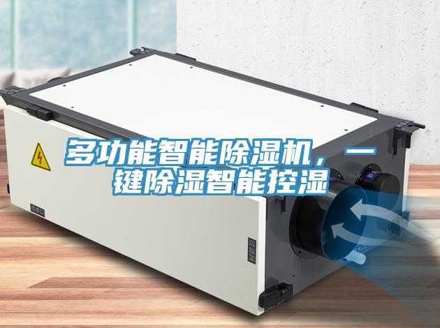 多功能智能除濕機(jī)，一鍵除濕智能控濕