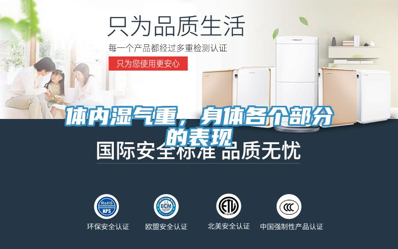 體內(nèi)濕氣重，身體各個部分的表現(xiàn)