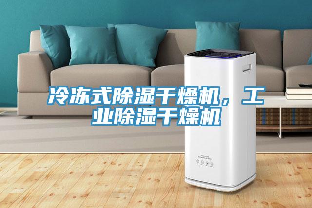 冷凍式除濕干燥機(jī)，工業(yè)除濕干燥機(jī)