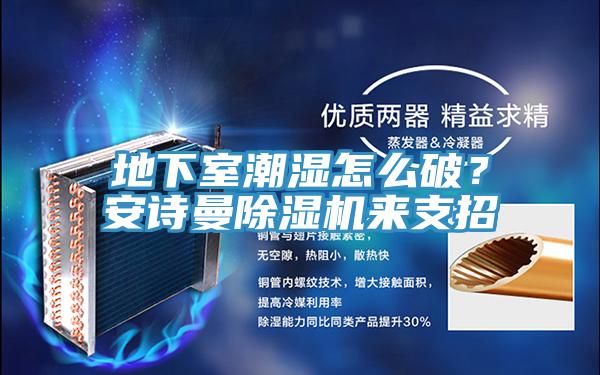 地下室潮濕怎么破？安詩曼除濕機(jī)來支招