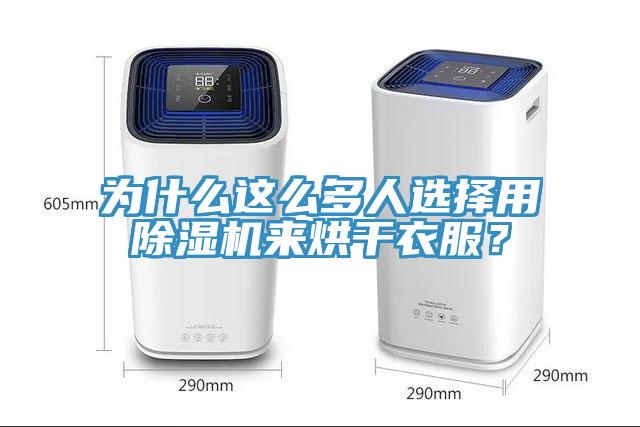 為什么這么多人選擇用除濕機來烘干衣服？