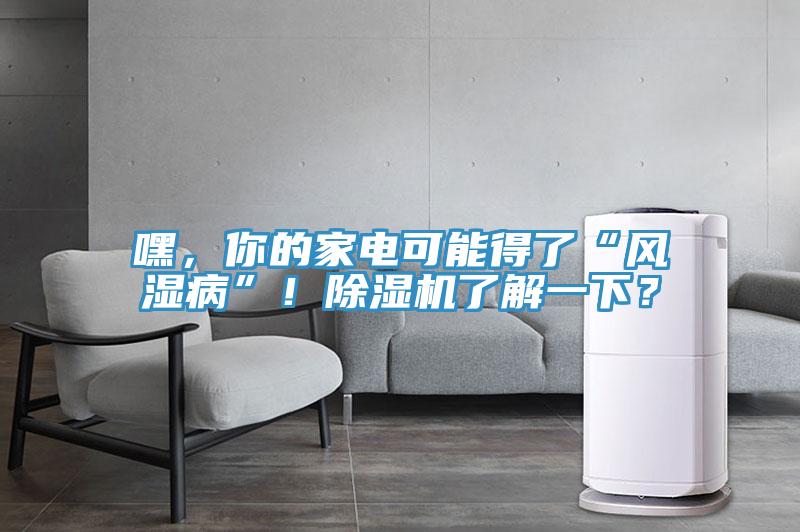 嘿，你的家電可能得了“風濕病”！除濕機了解一下？