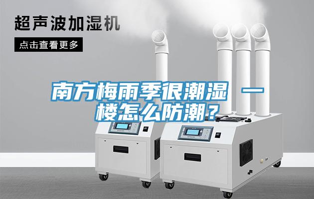 南方梅雨季很潮濕 一樓怎么防潮？