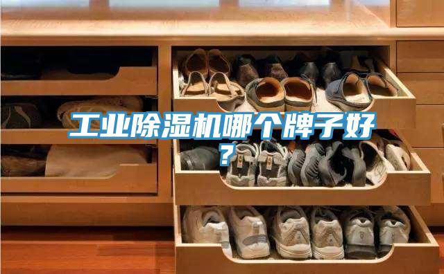 工業(yè)除濕機哪個牌子好？