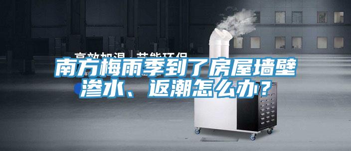 南方梅雨季到了房屋墻壁滲水、返潮怎么辦？