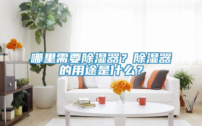 哪里需要除濕器？除濕器的用途是什么？