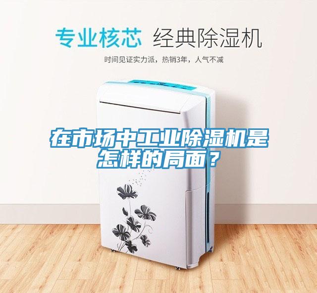 在市場中工業(yè)除濕機(jī)是怎樣的局面？