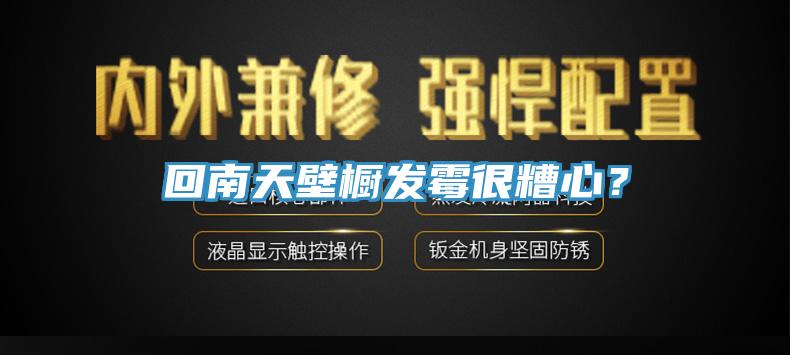回南天壁櫥發(fā)霉很糟心？