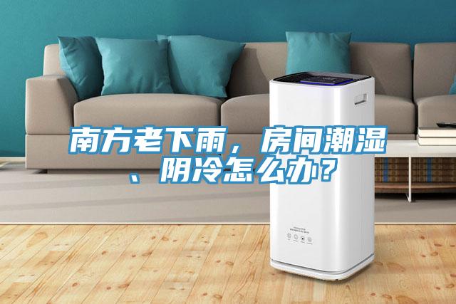 南方老下雨，房間潮濕、陰冷怎么辦？