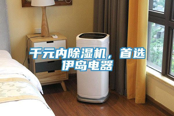 千元內(nèi)除濕機，首選伊島電器