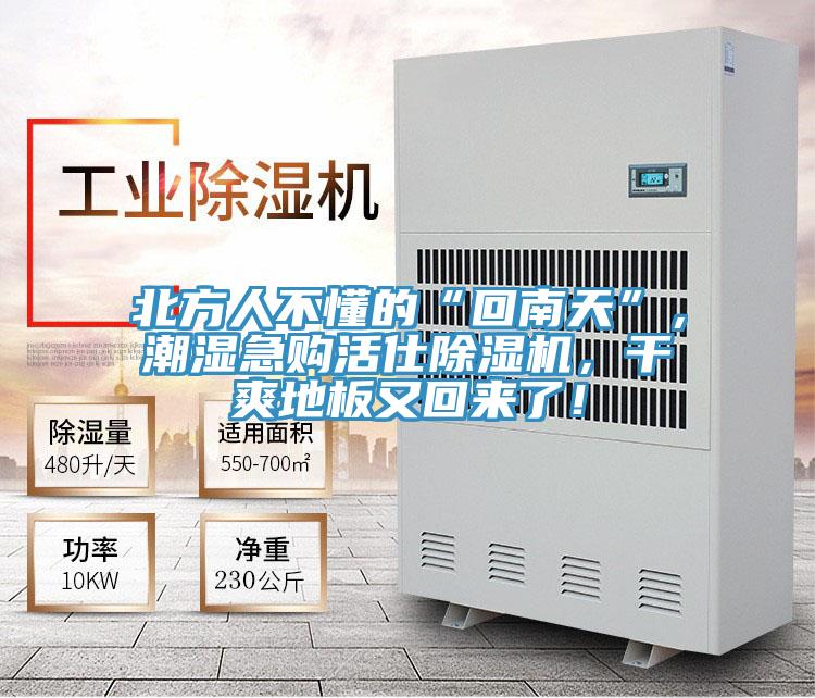 北方人不懂的“回南天”，潮濕急購活仕除濕機(jī)，干爽地板又回來了！