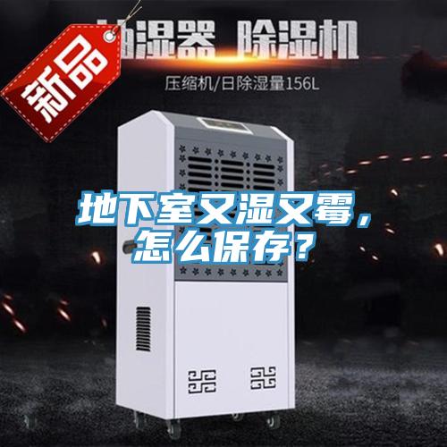 地下室又濕又霉，怎么保存？