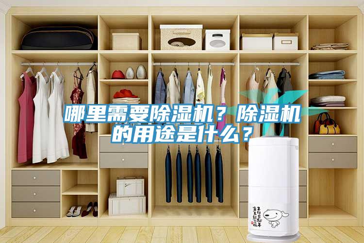 哪里需要除濕機(jī)？除濕機(jī)的用途是什么？