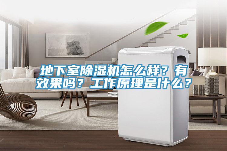 地下室除濕機(jī)怎么樣？有效果嗎？工作原理是什么？