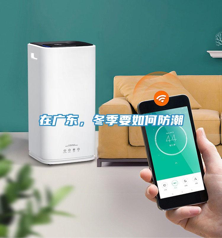 在廣東，冬季要如何防潮