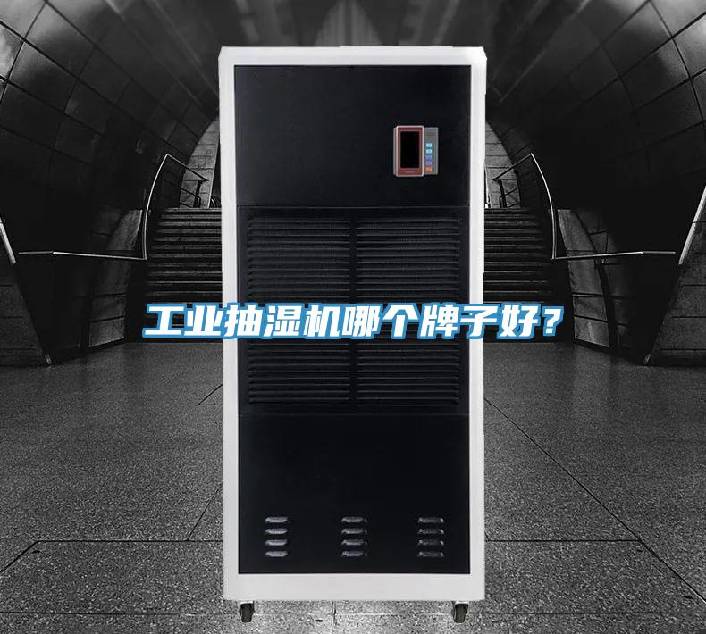 工業(yè)抽濕機(jī)哪個(gè)牌子好？