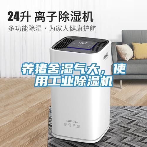 養(yǎng)豬舍濕氣大，使用工業(yè)除濕機(jī)