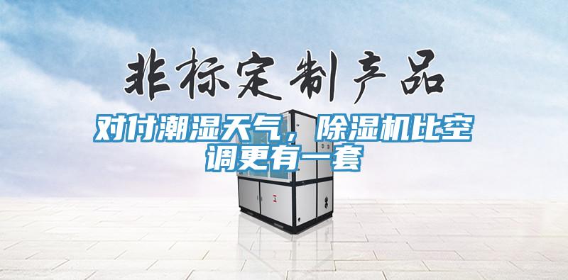 對(duì)付潮濕天氣，除濕機(jī)比空調(diào)更有一套