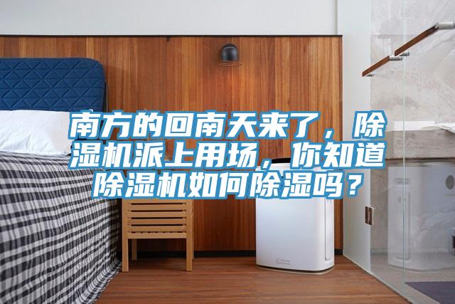 南方的回南天來了，除濕機派上用場，你知道除濕機如何除濕嗎？