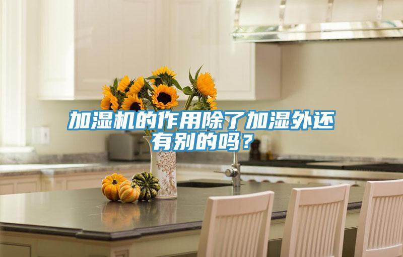 加濕機(jī)的作用除了加濕外還有別的嗎？