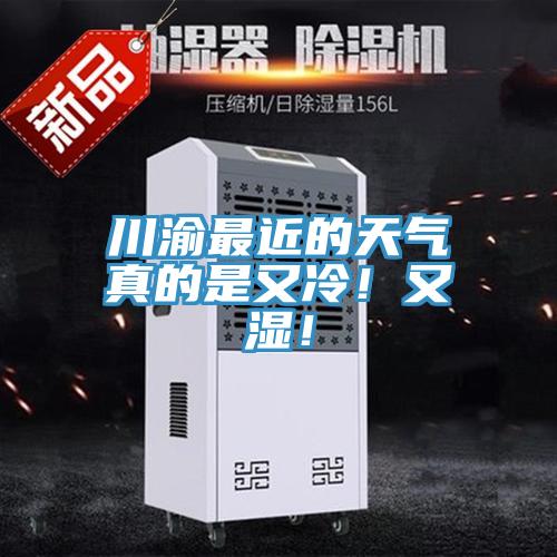 川渝最近的天氣真的是又冷！又濕！