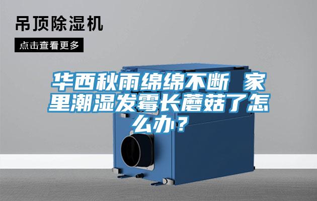 華西秋雨綿綿不斷 家里潮濕發(fā)霉長蘑菇了怎么辦？