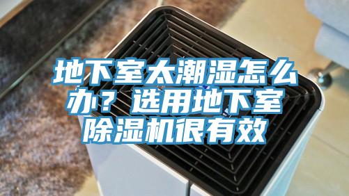 地下室太潮濕怎么辦？選用地下室除濕機(jī)很有效