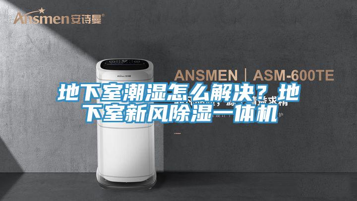 地下室潮濕怎么解決？地下室新風(fēng)除濕一體機(jī)